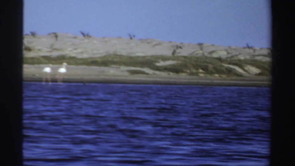 1969 Sudan 8mm frame showing blue water, sandy dunes, sparse vegetation, and distant white wading birds near the shore.