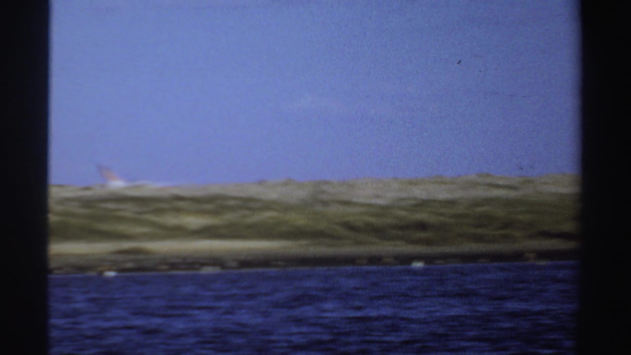 1969 Sudan 8mm frame showing flamingos in flight over water, with a grassy bank and open blue sky behind them.