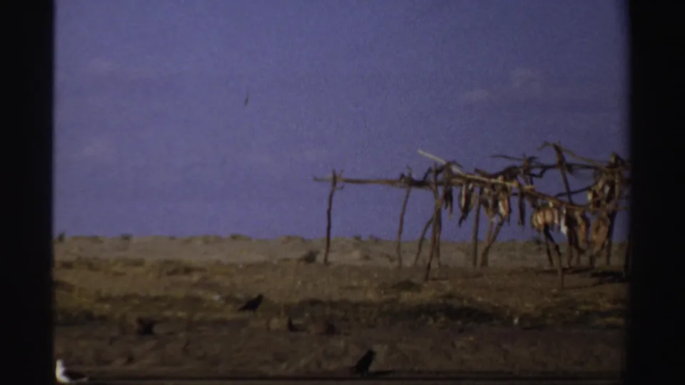 White birds fly above a dry Sudan landscape where a rough wooden structure stands near the right edge of the 8mm frame.