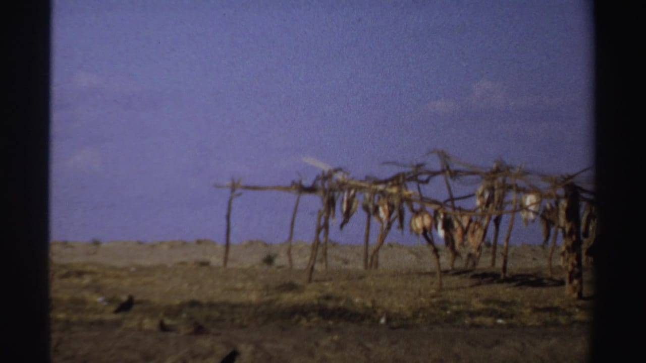 1969 Sudan home-movie frame showing pole drying racks with hanging fish or organic material on an arid riverbank.