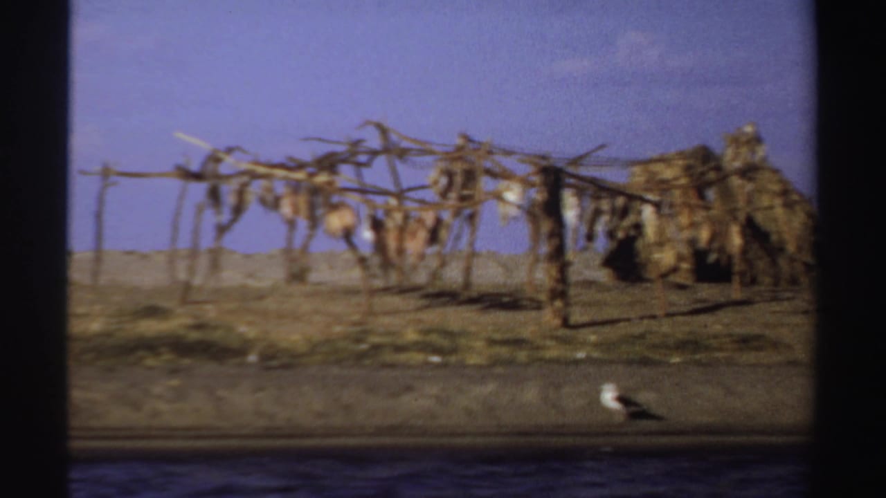 1969 Sudan riverside view with fish-drying racks, a thatched shelter, birds, and water visible in the foreground.
