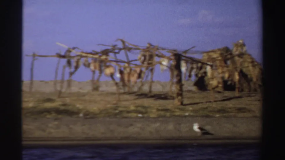 1969 Sudan riverside view with fish-drying racks, a thatched shelter, birds, and water visible in the foreground.