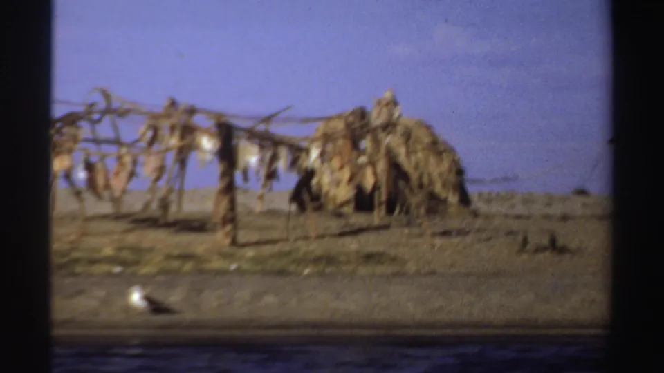 1969 Sudan home-movie frame showing a thatched hut, drying racks, birds, and a strip of river water in the foreground.