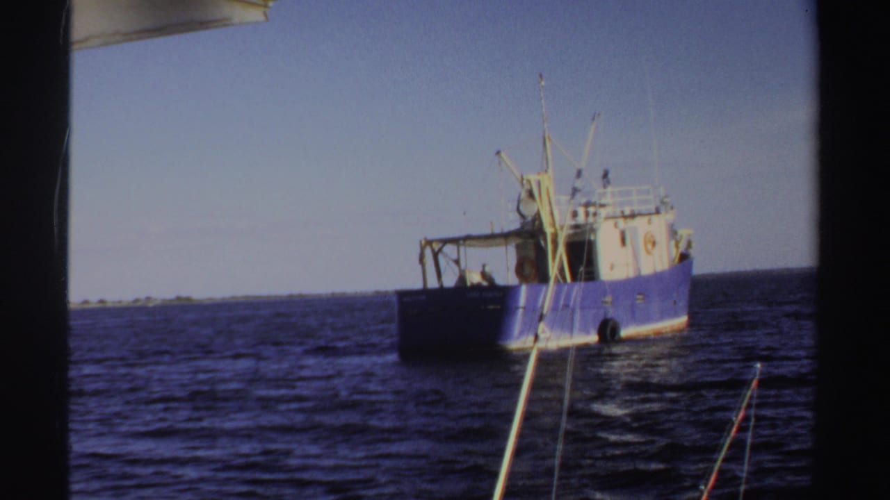 Blue and white boat on open water with fishing rods in the foreground.