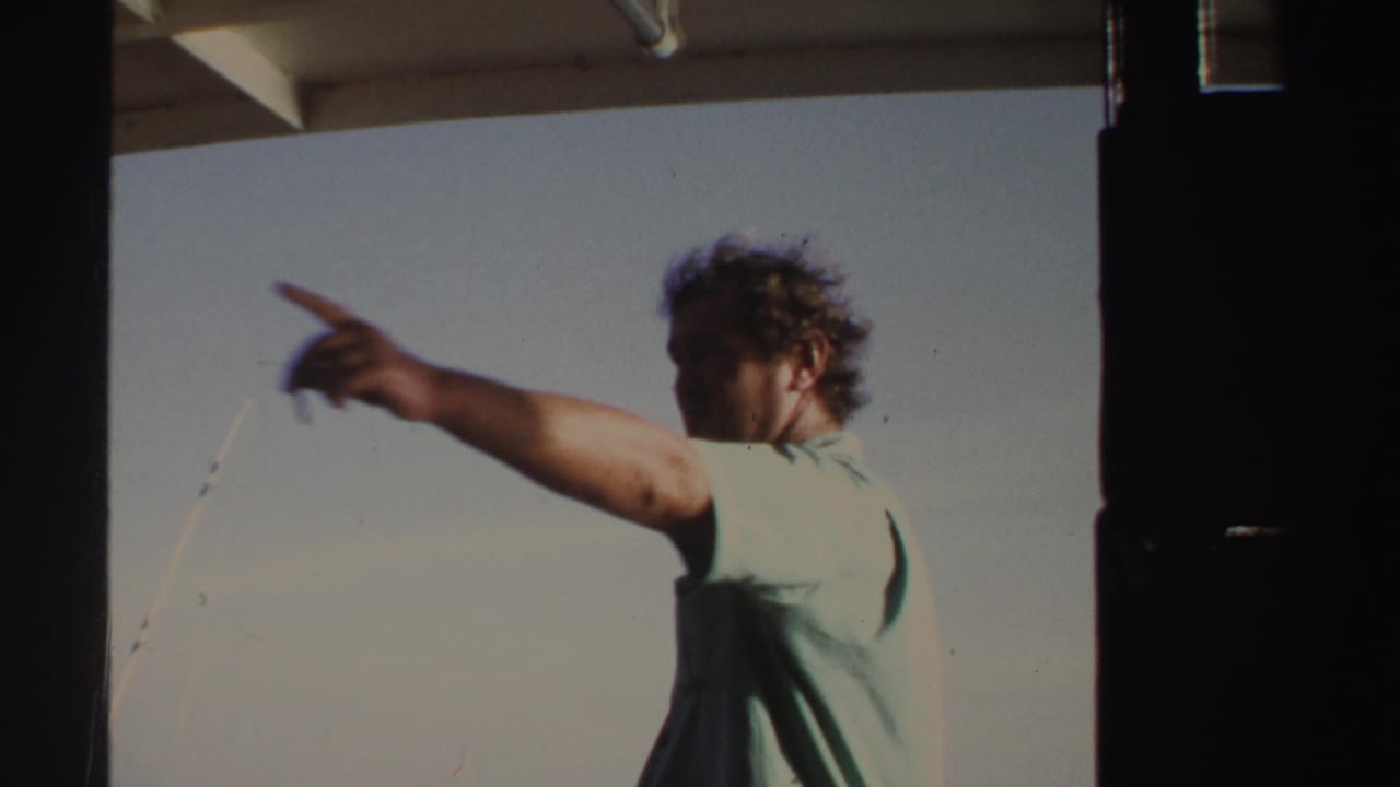 Adult man in a light blue shirt points from a boat under a bright sky.