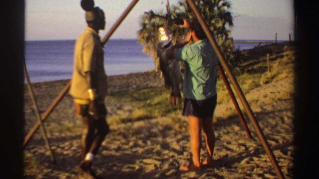 A man in a green shirt adjusts a large hanging fish while another man stands nearby on the beach.