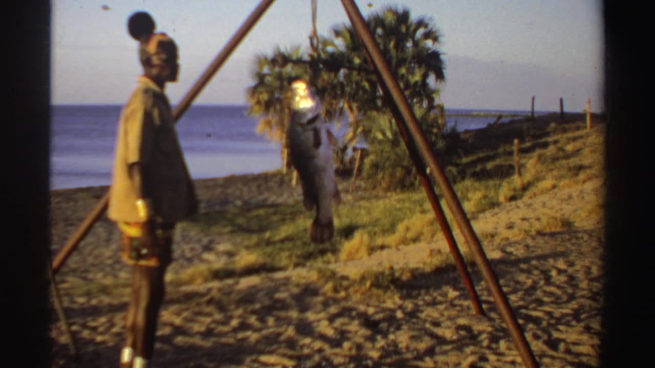 Man stands on a sandy beach beside a wooden tripod holding a large suspended fish.