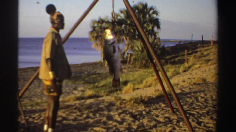 1969 Sudan beach scene with a man in a tan shirt watching a large fish hanging from a wooden tripod scale near palms and ocean.