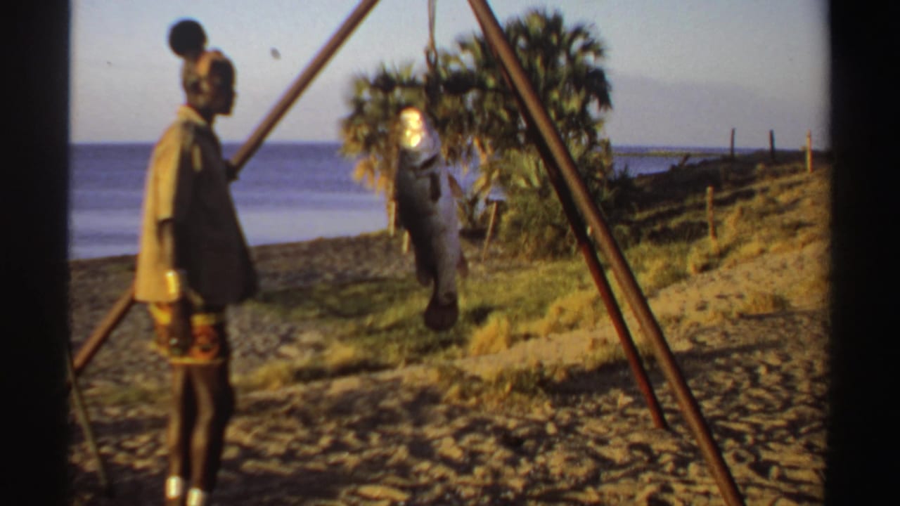 Beachside tripod scale holds a large fish while a man stands nearby facing it.