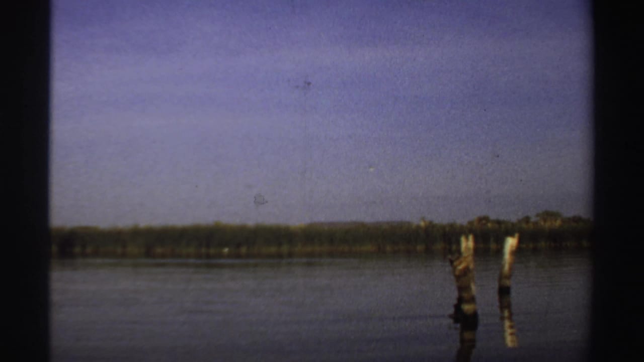 Calm water with two weathered wooden posts and a distant treeline under pale sky.