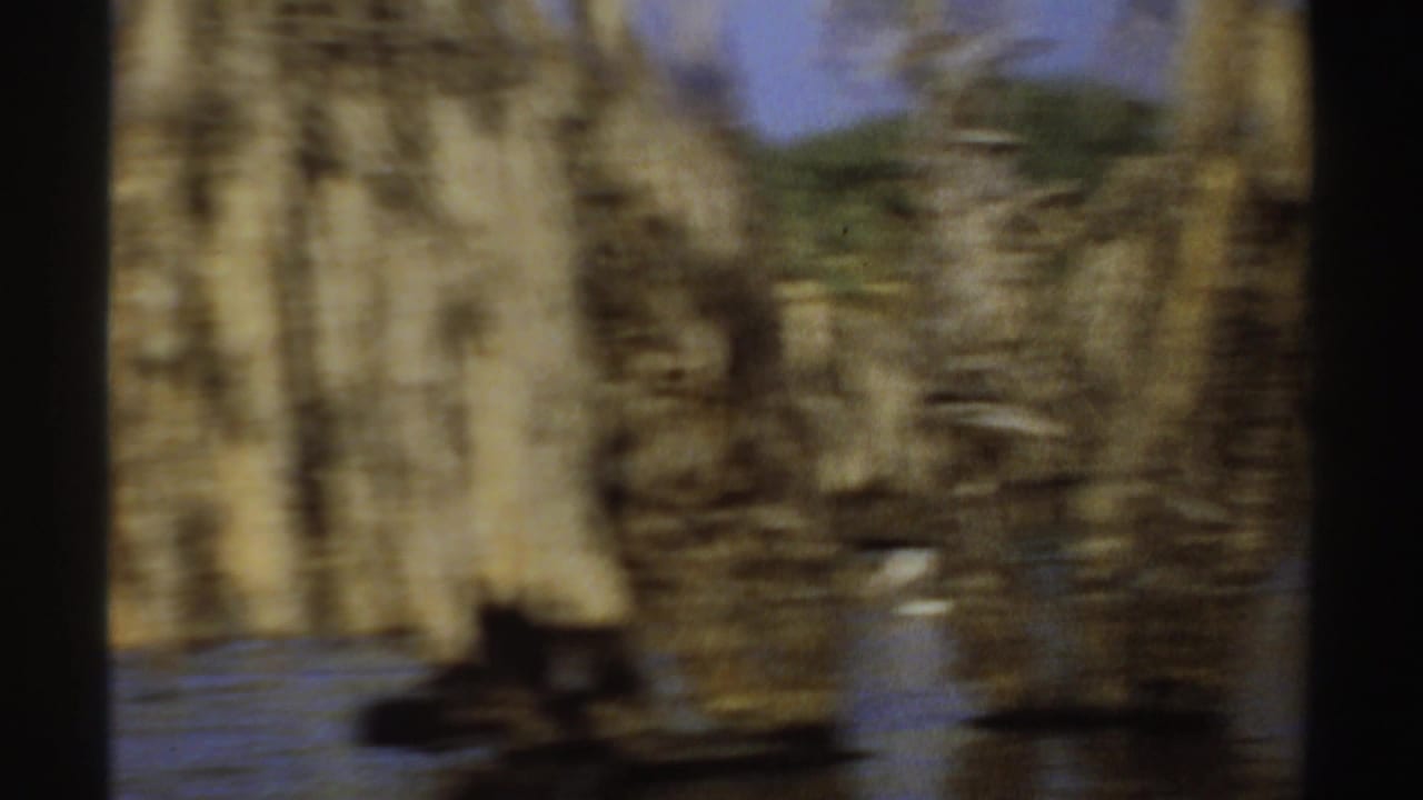 Soft 1969 Sudan river view with pelicans passing in front of dense palms and reflected water.