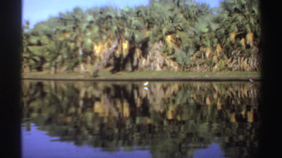 1969 Sudan 8mm view of dense palms and tropical vegetation mirrored in still lagoon water.