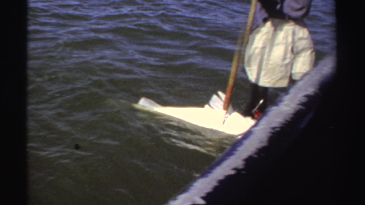 1969 Sudan home-movie frame of a fisherman beside the boat, with a large fish at the waterline and open sea behind him.
