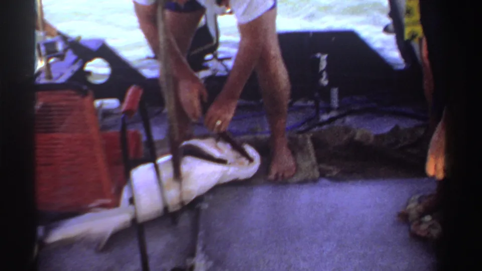 1969 Sudan boat-deck view with fishing equipment, a cooler, bare legs, and a fish being handled after a catch.