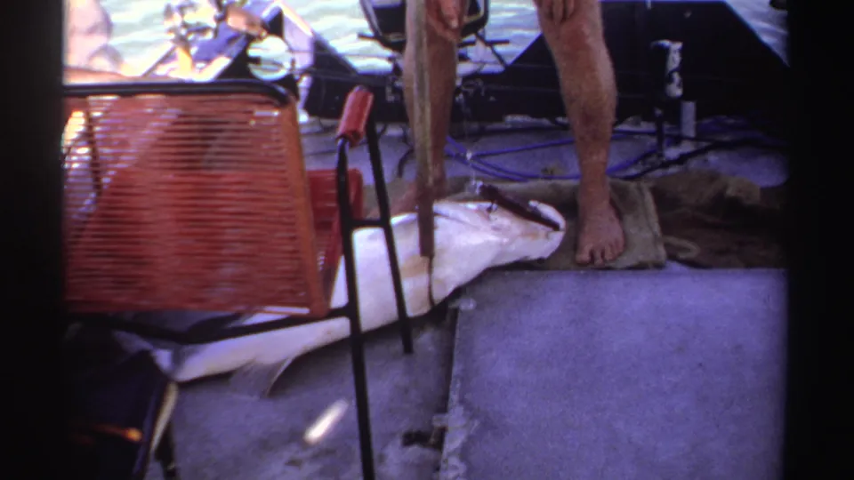 A large fish lies across the deck in 1969 Sudan home-movie footage, with a barefoot fisherman and red woven chair nearby.