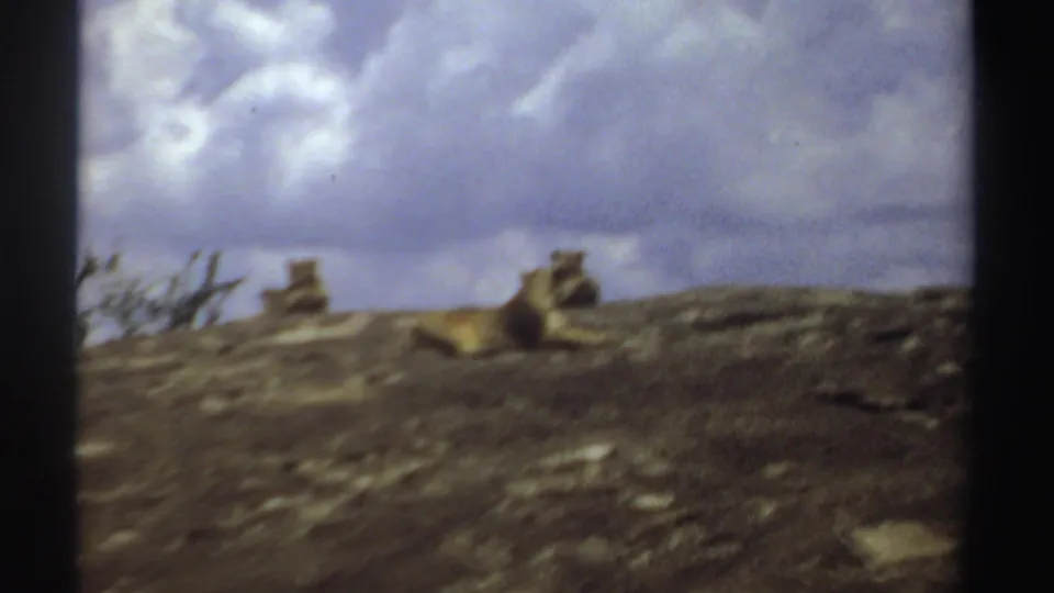 The Sudan 1969 home-movie sequence cuts to lions resting on a rocky rise under a dramatic cloudy sky.