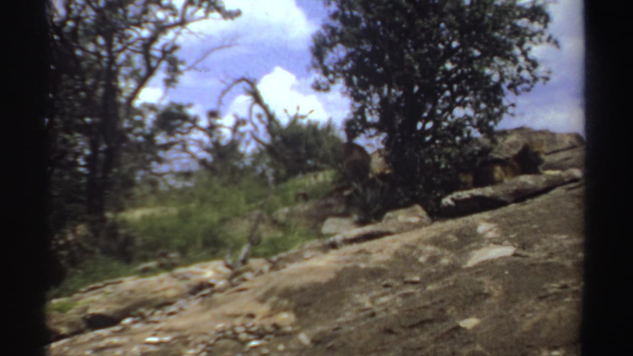 1969 Sudan 8mm frame showing rocky terrain, scrub bushes, a tree canopy, and a possible resting wild animal under cover.