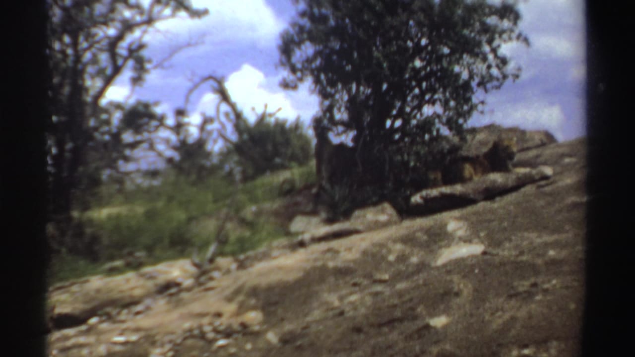 Rocky slope with trees, bushes, cloudy sky, and a possible animal partly hidden near rocks.