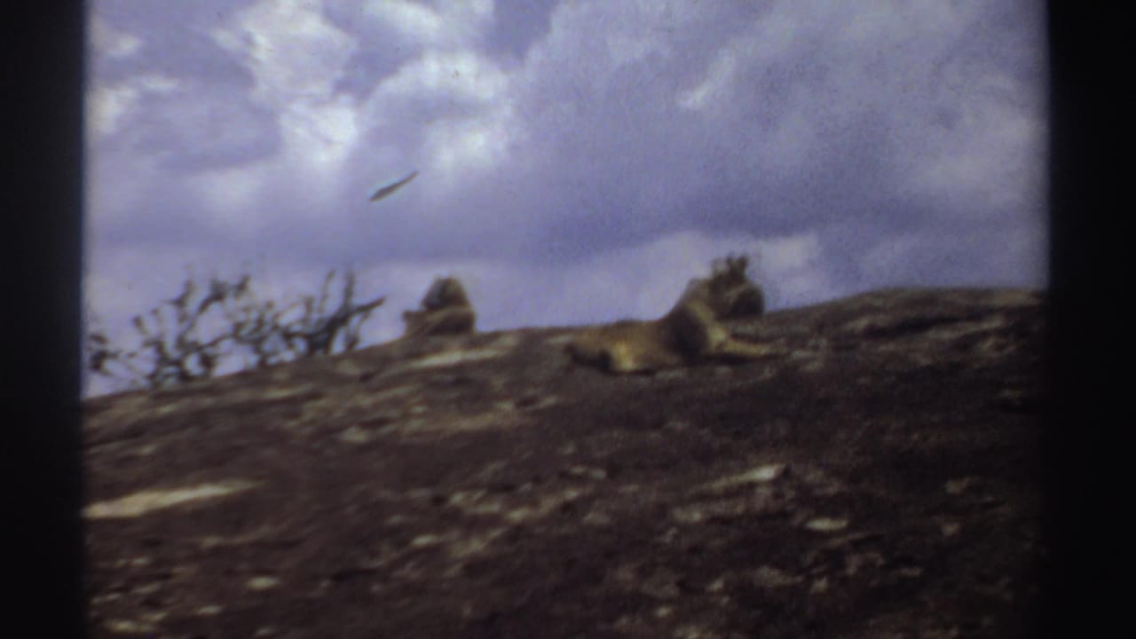 1969 Sudan 8mm frame showing lions lying on a rocky outcrop with sparse brush and clouds behind them.