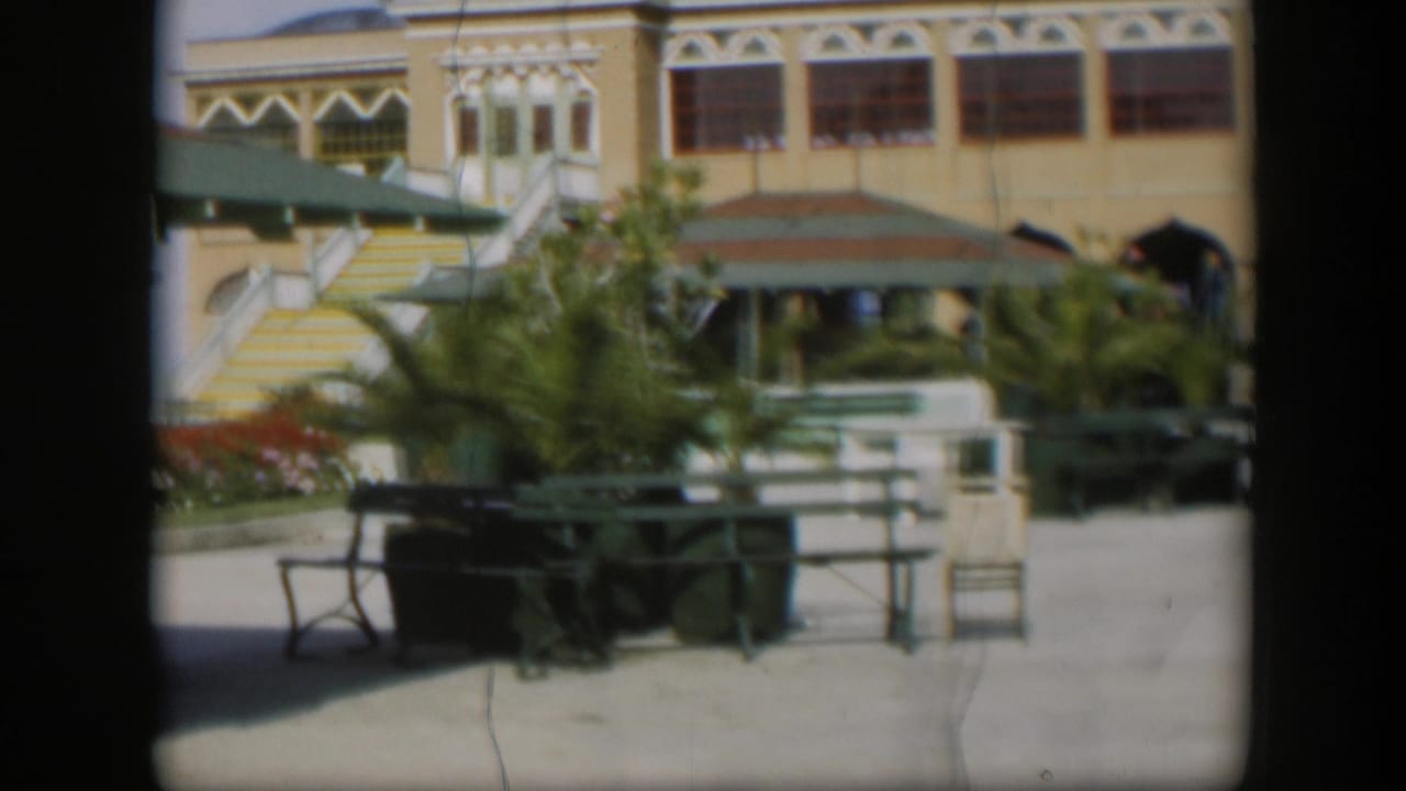 Courtyard patio with green benches, umbrellas, plants, and a yellow building behind it.