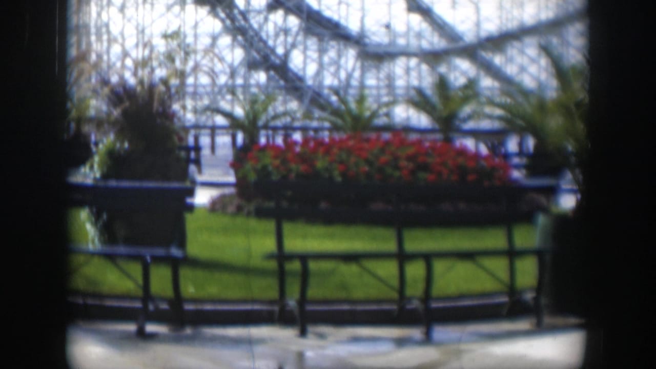 1951 Utah 8mm frame of the Salt Lake Tabernacle garden area with red flowers, lawn, benches, railings, palms, and glasshouse backdrop.