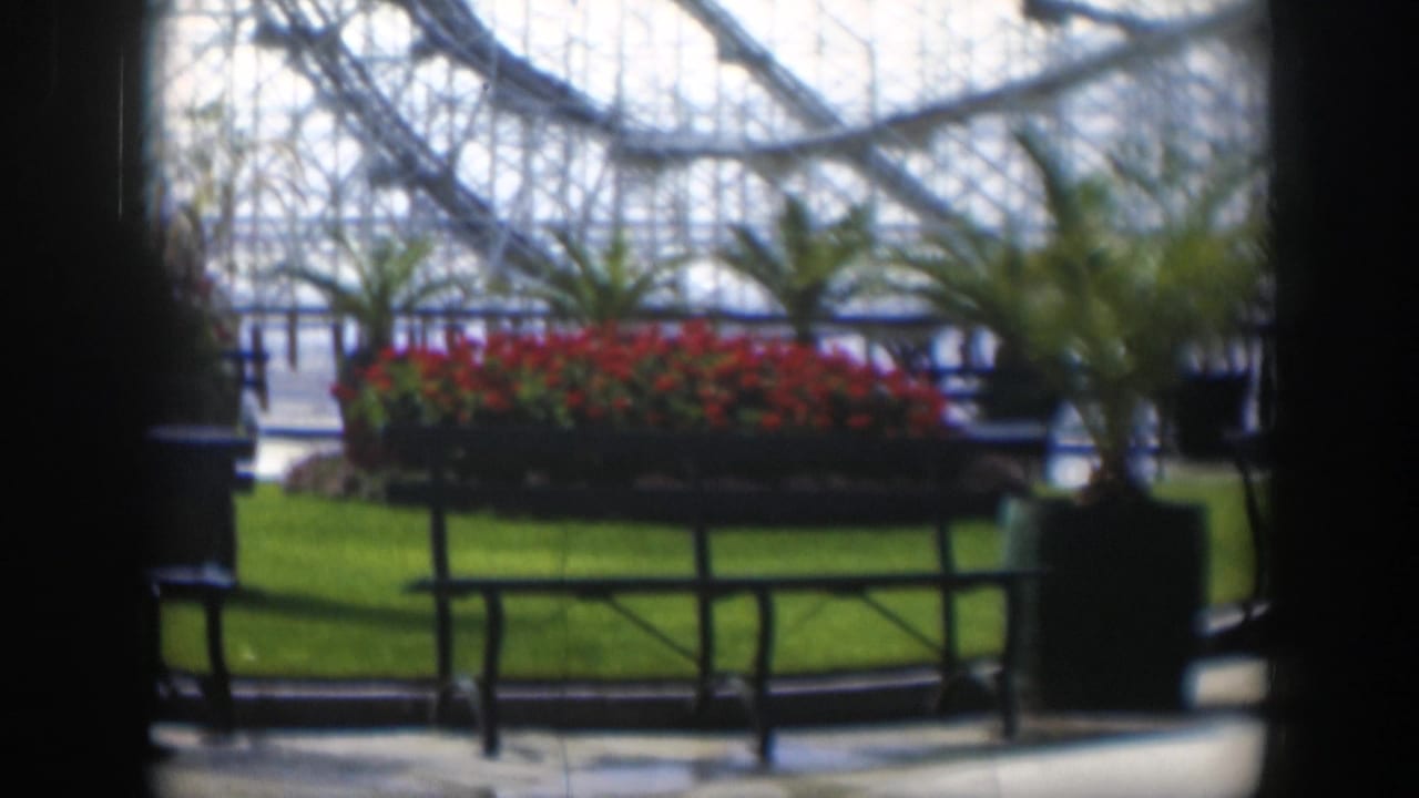 1951 Utah amusement park landscaping with red flower beds, potted palms, low railings, and roller coaster framework in soft focus.