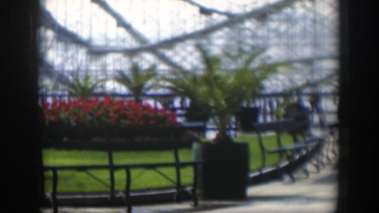 Soft 8mm view of a Utah amusement park in 1951, with red flowers, grass, empty benches, and roller coaster framework beyond.