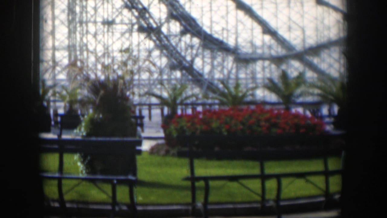 1951 Utah home-movie frame showing palms, red flowers, railing and benches with a tall roller coaster structure in the background.