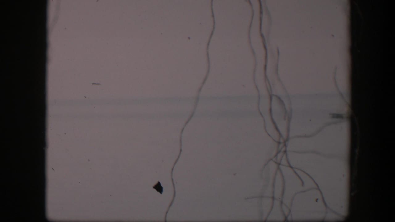 1951 Utah 8mm frame showing hanging strings over a washed pale background, with film dust, scratches, and a dark speck visible.
