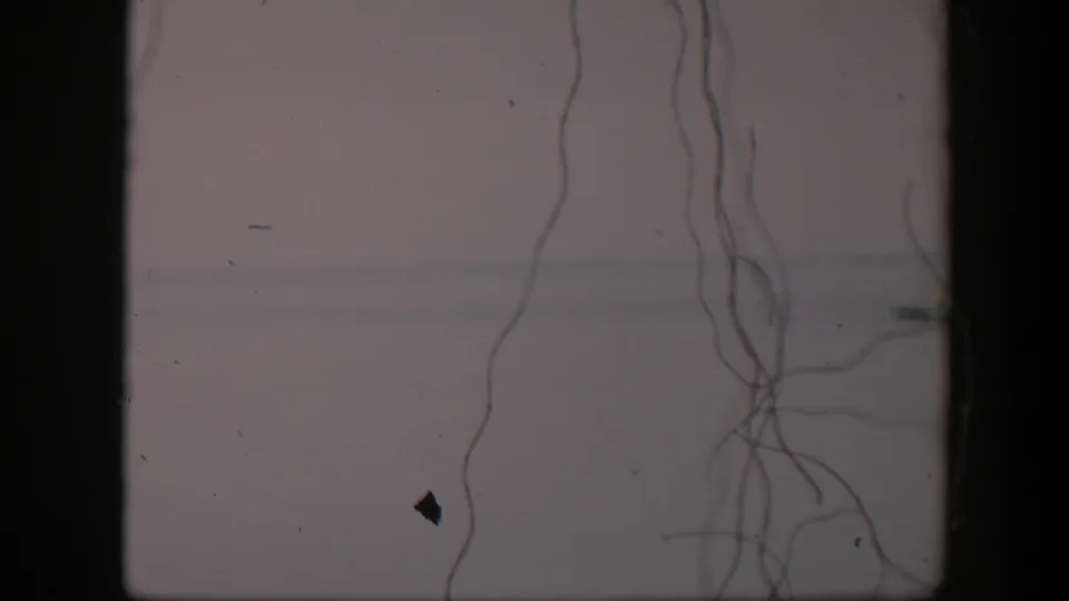 1951 Utah 8mm frame showing hanging strings over a washed pale background, with film dust, scratches, and a dark speck visible.