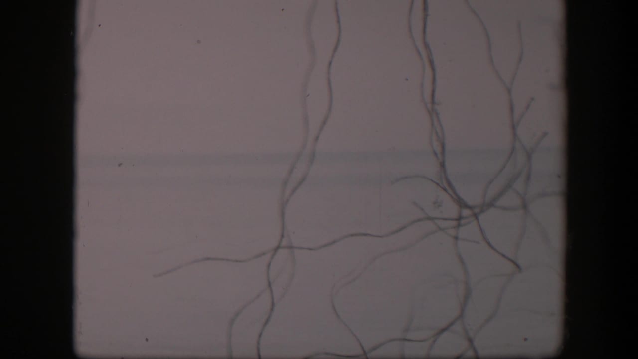 1951 Utah 8mm frame with looping foreground strings, muted gray-white tones, a faint horizon, and a small distant structure.