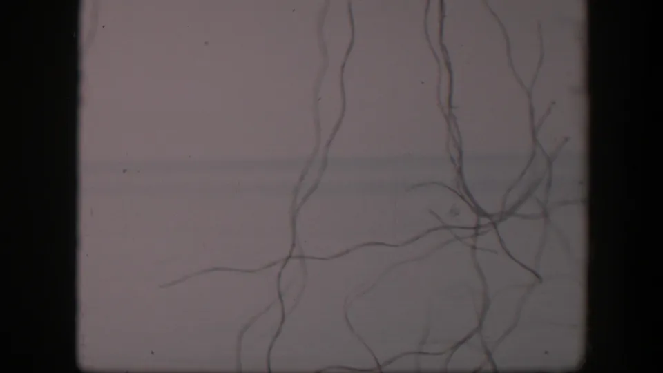 1951 Utah 8mm frame with looping foreground strings, muted gray-white tones, a faint horizon, and a small distant structure.