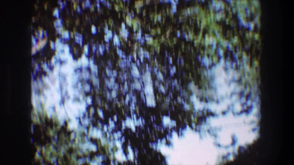 A handheld view points upward through leafy branches toward bright sky, shifting away from the badminton action.