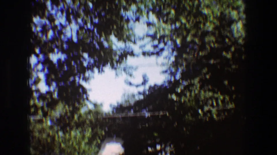 The camera frames leafy tree canopy and pale sky over the backyard, with a small portion of a structure visible near the lower edge.