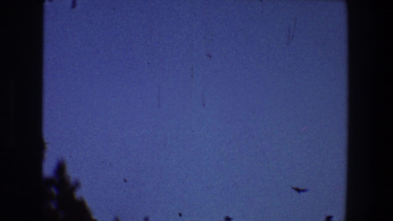 1968 Toledo 8mm frame showing birds crossing a blue summer sky above dark tree silhouettes.