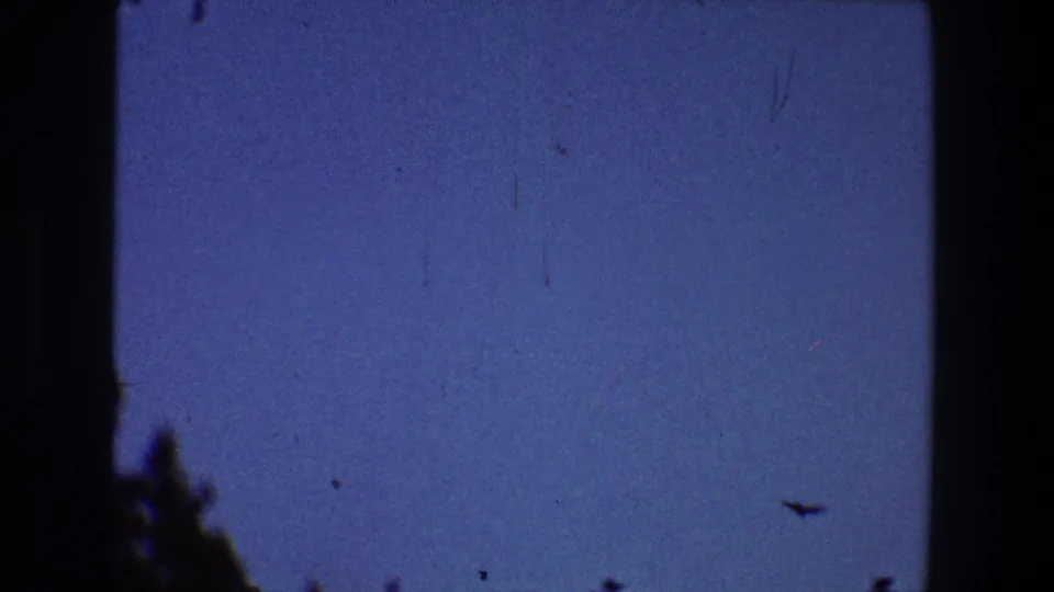 1968 Toledo 8mm frame showing birds crossing a blue summer sky above dark tree silhouettes.