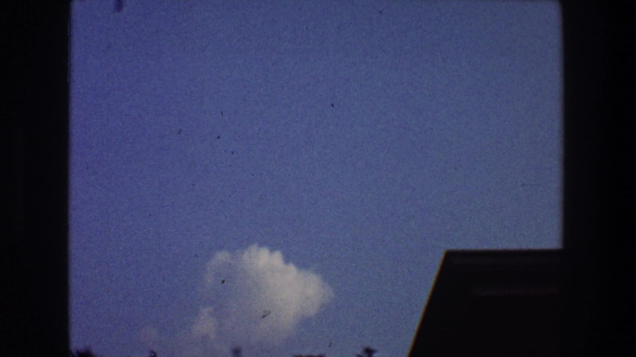 Blue sky with a white cloud, small birds, and a dark roof edge at right.