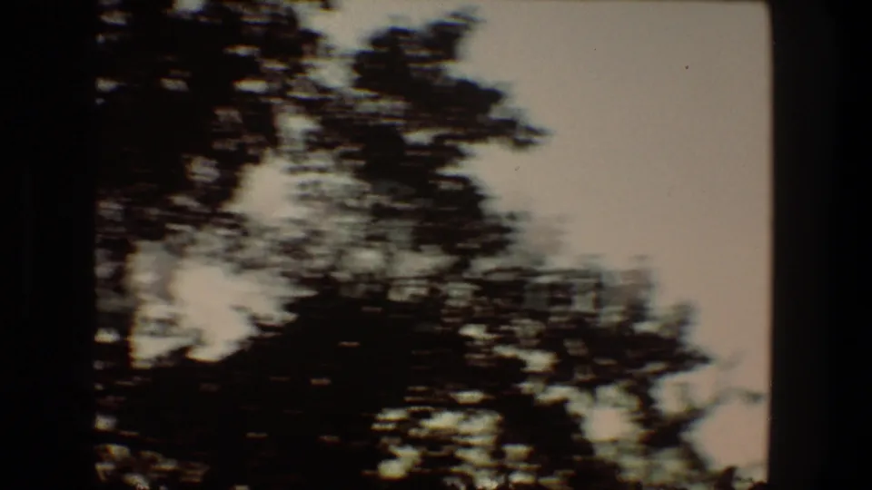 1968 Toledo 8mm frame showing blurred silhouetted trees beneath a light sky, with handheld motion softness.