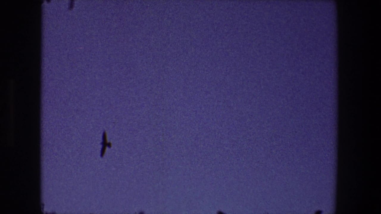 Small bat silhouette crossing a purple dusk sky above a dark roof edge.