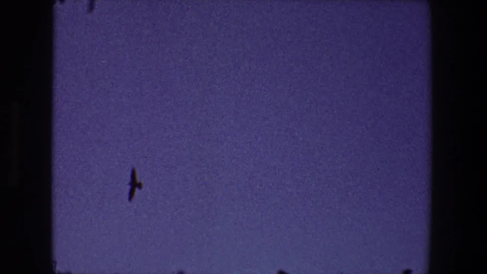 A 1968 Toledo, Ohio 8mm frame shows a small bat-like silhouette against a purple-blue dusk sky with dark roofline edges and visible film grain.