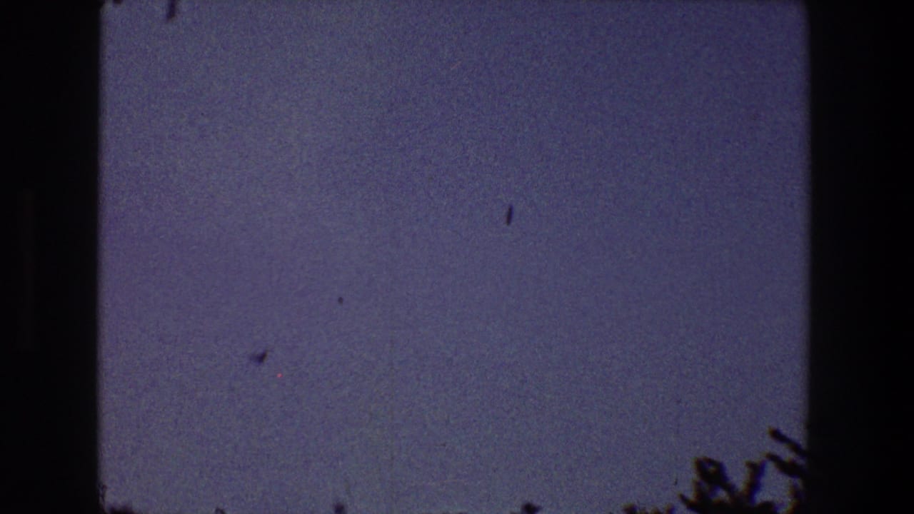 Dim twilight sky with faint specks and dark foliage at the lower right edge.