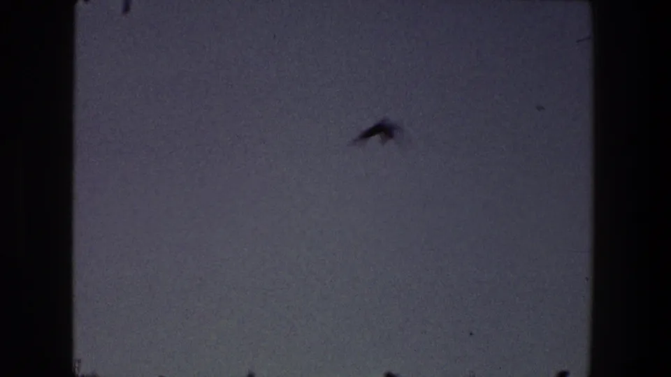 1968 Toledo 8mm frame showing a blurred bird silhouette against a gray-blue sky.