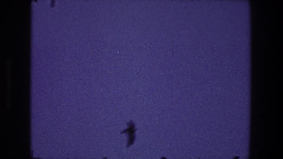 1968 Toledo 8mm frame with a dark bird silhouette near the lower part of a bluish sky.