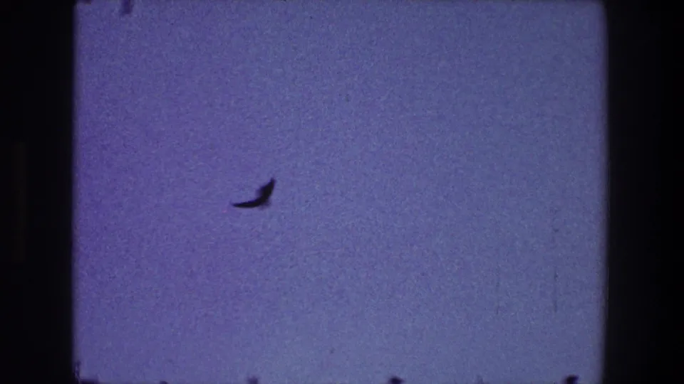 A small bird-like silhouette crosses a grainy purple-blue sky in 1968 Toledo 8mm home-movie footage.