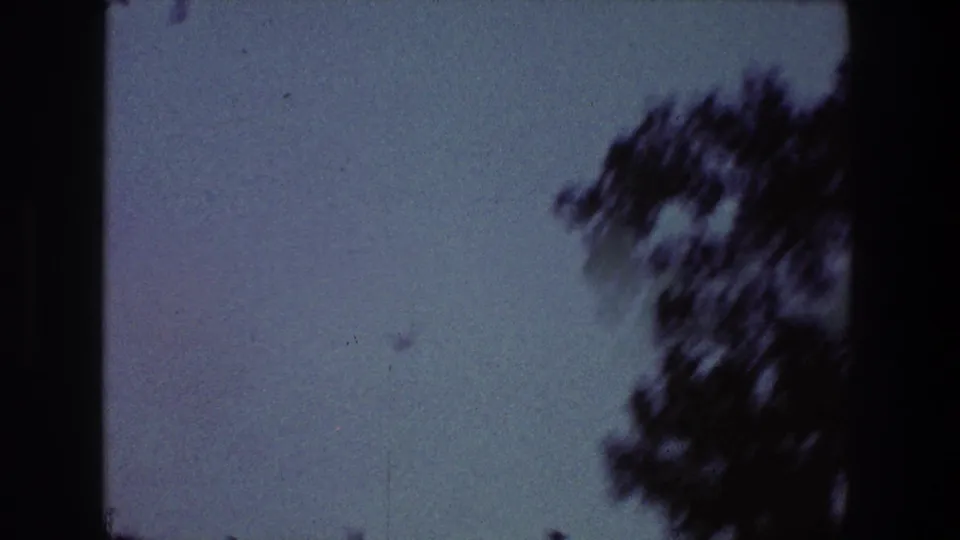 Open blue-purple sky with soft dark tree branches at the edge, from Toledo 1968 8mm home-movie footage.
