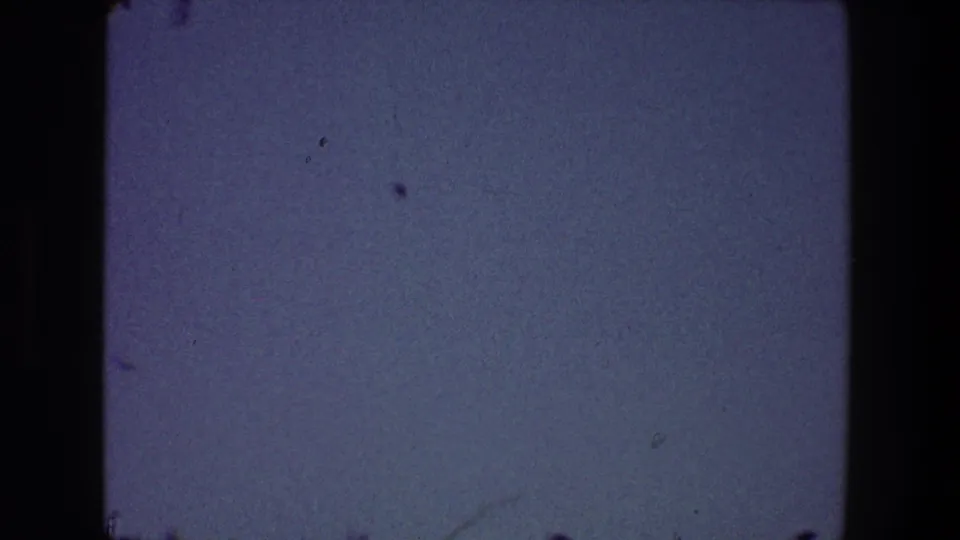 Purple-blue sky with small dark specks and edge shadows, part of a 1968 Toledo 8mm home-movie bird cutaway.