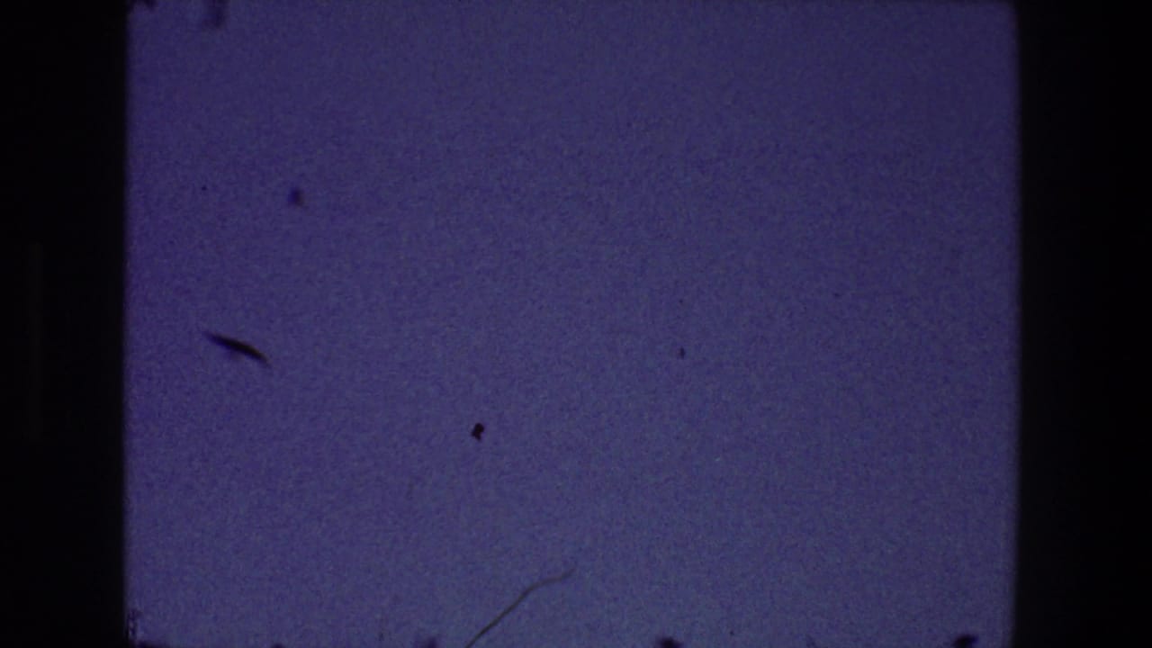 Purple evening sky framed by dark 8mm film edges and visible dust marks.