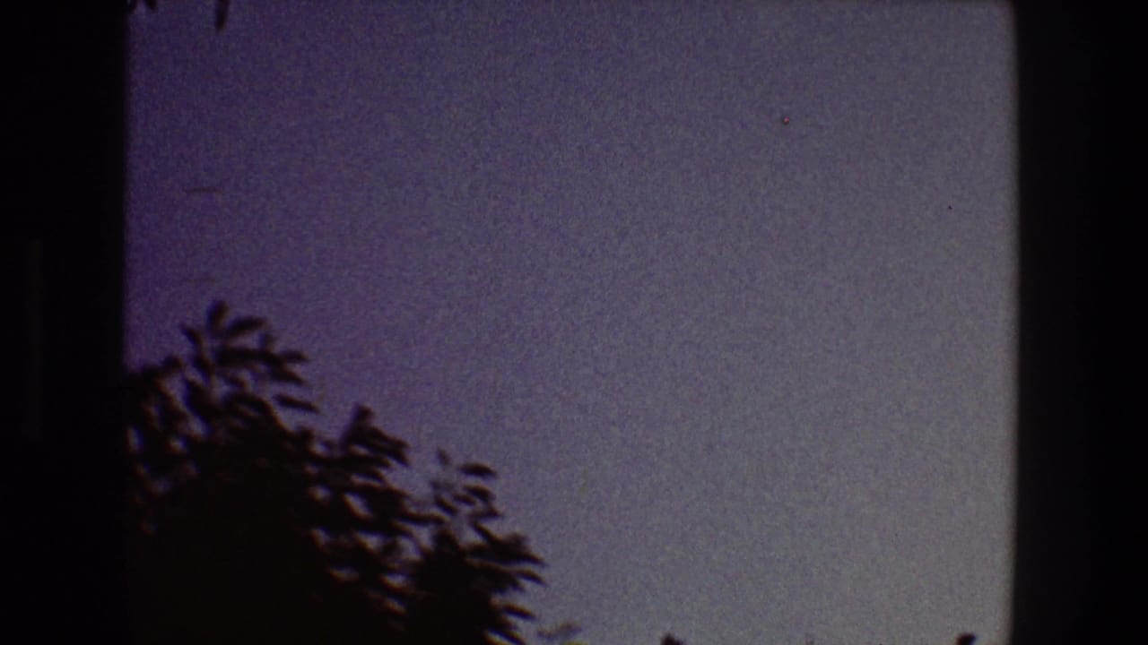 Dark tree silhouette rises into a purple evening sky beside a vertical film edge.