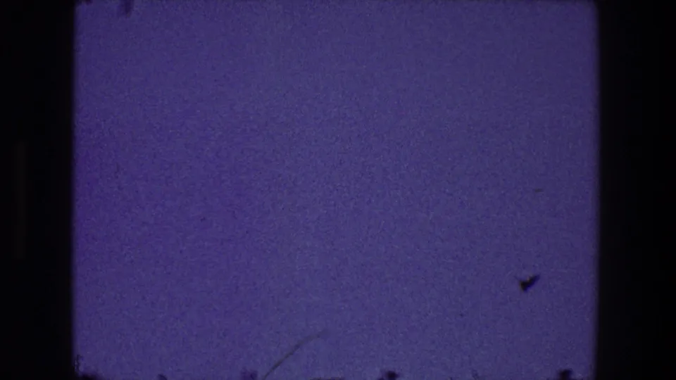 1968 Toledo 8mm frame showing a small bird silhouette against a purple evening sky with visible scratches and grain.