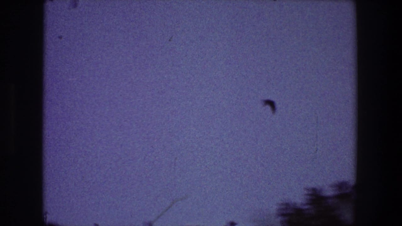 Small dark bird silhouette against a grainy blue-purple sky with film border edges.
